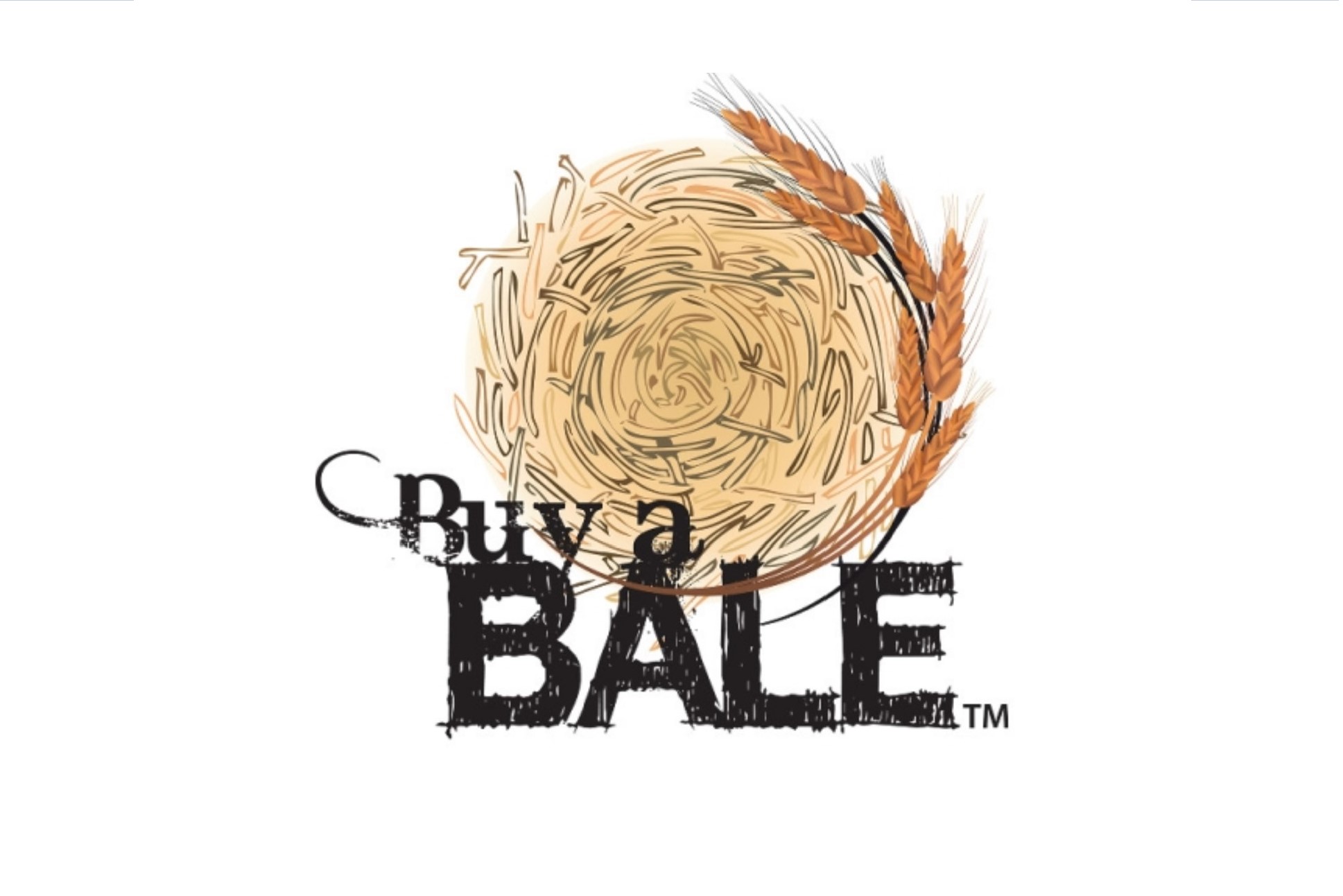 Annotation 2020-03-09 212842